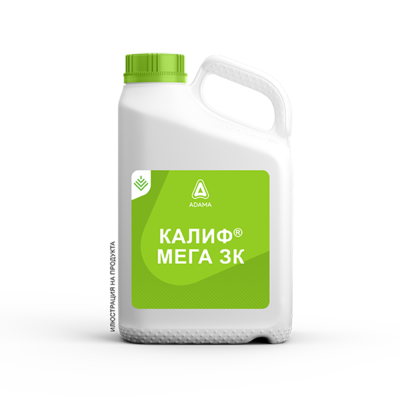КАЛИФ МЕГА ЗК