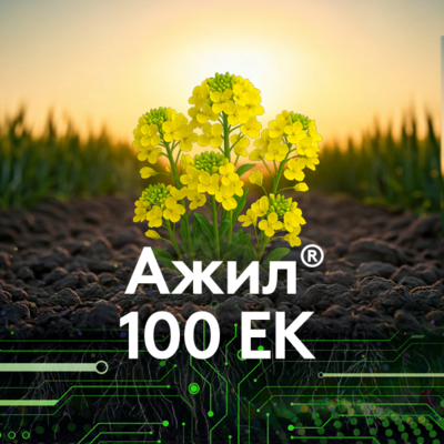 Agil 100EK