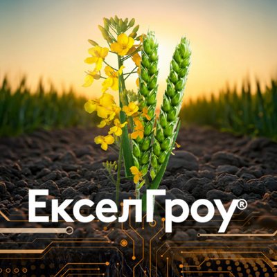 ЕкселГроу®