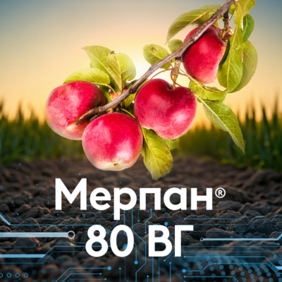 Мерпан®  80 ВГ