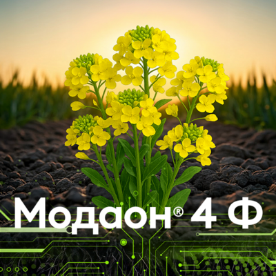 МОДАОН® 4 Ф