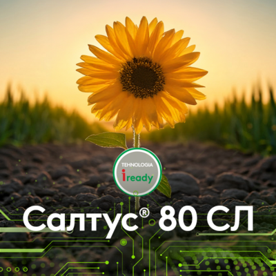 Салтус®  80 СЛ
