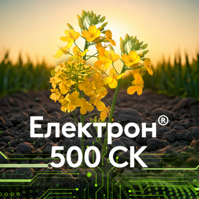 Електрон® 500 СK