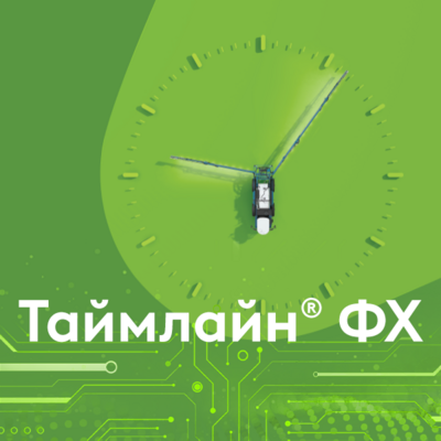 Таймлайн®  ФХ