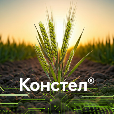 Констел®