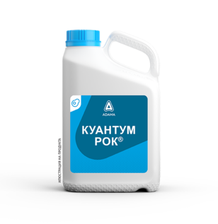 КУАНТУМ РОК