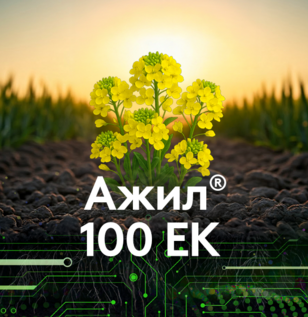 Agil 100EK