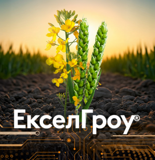 ЕкселГроу®
