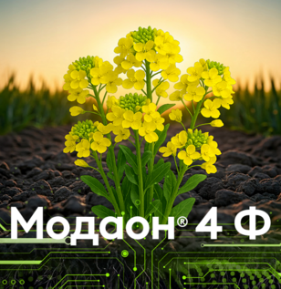 МОДАОН® 4 Ф