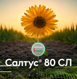 Салтус®  80 СЛ