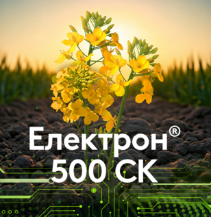 Електрон® 500 СK