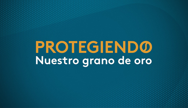 Campaña para proteccion de cultivo de café