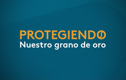 Campaña para proteccion de cultivo de café