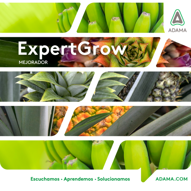 Expertgrow Art