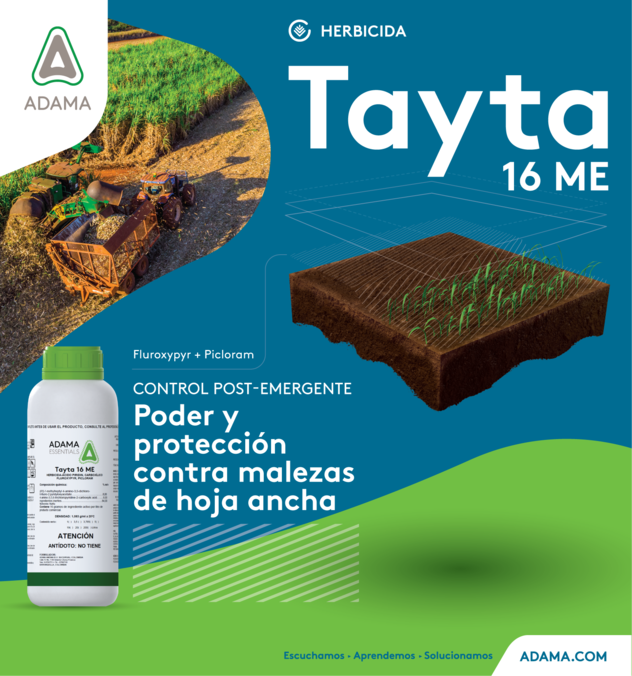 Tayta 16 ME Hercida CAña