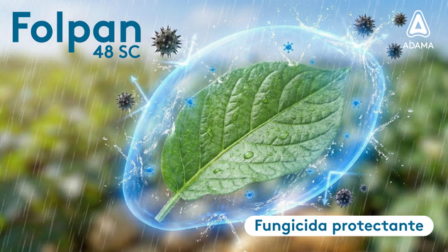 Folpan Fungicida Protectante