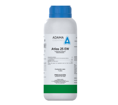Atlas 25 EW
