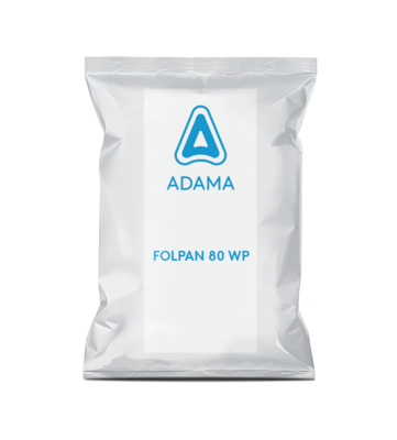 FOLPAN 80 WP