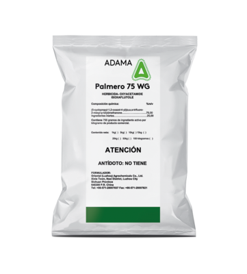 Adama Palmero 75 WG