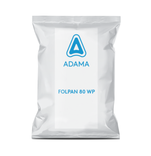 FOLPAN 80 WP