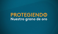 Campaña para proteccion de cultivo de café