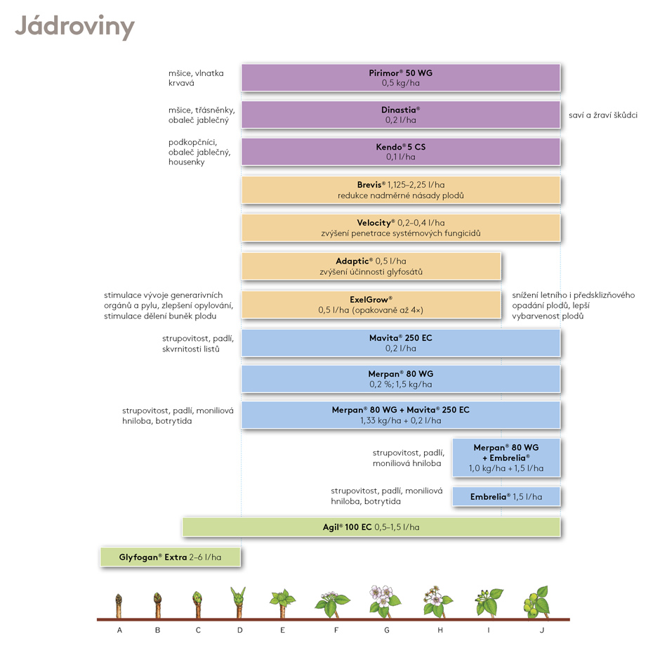 ošetření jádroviny