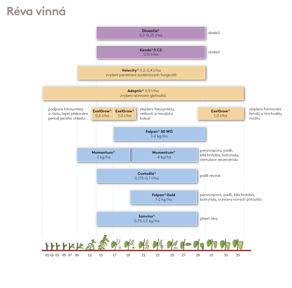ošetření vinná réva