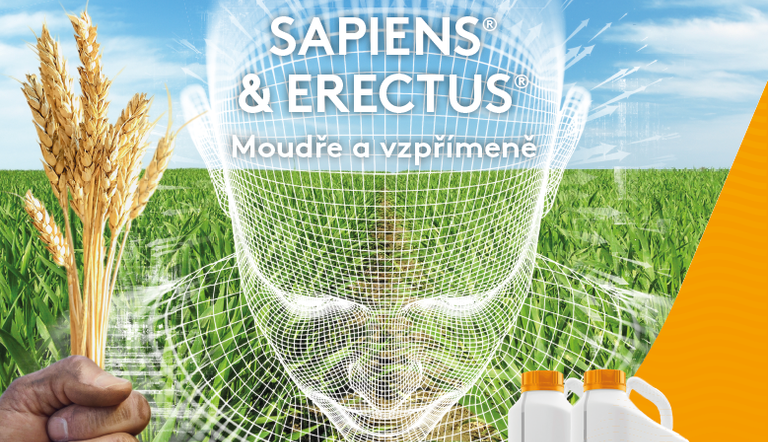 Sapiens Erectus