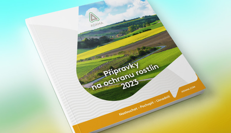 Katalog 2023