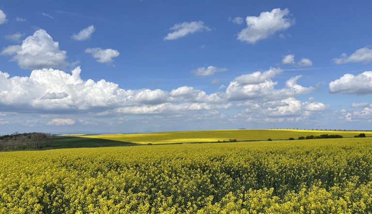 OSR