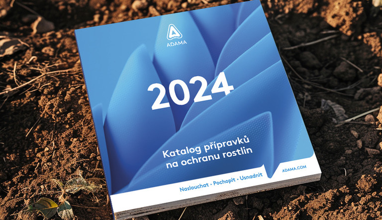 Obálka 2024