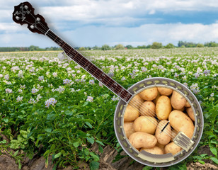Banjo Forte obrázek