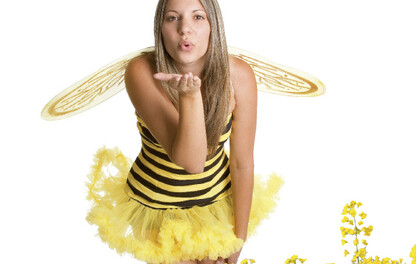 Mavrik Smart obrázek