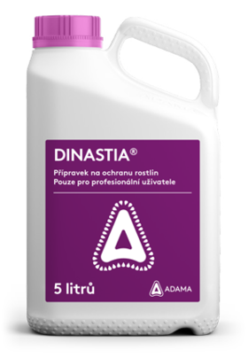 Dinastia