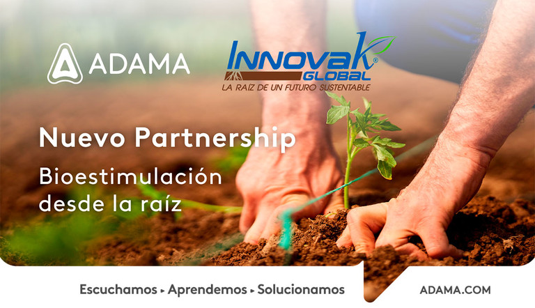innovak