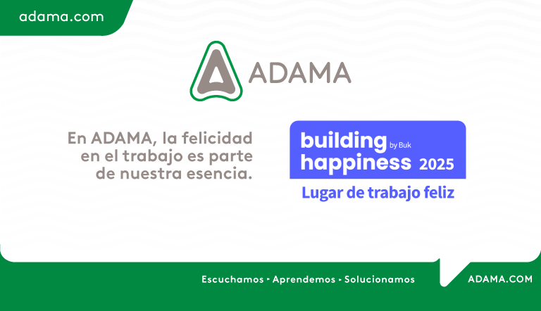 Banner - building hapiness