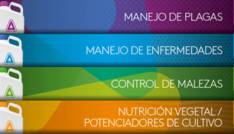 Un portfolio renovado
