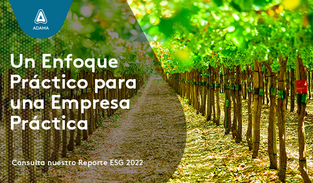 Impacto