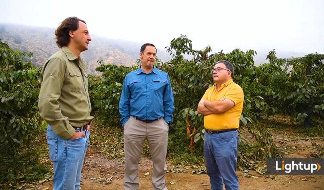 Voces desde el huerto