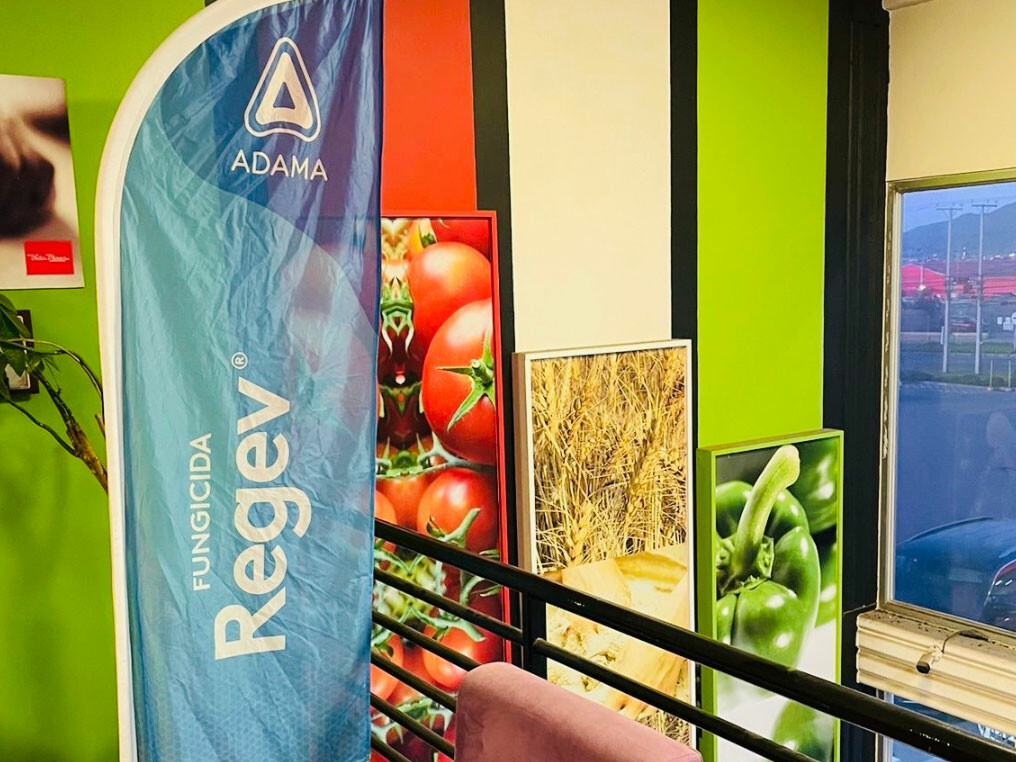 En el mes de agosto, dimos inicio al ciclo de charlas técnicas junto a nuestro partner Stockton bio-ago technologies, en el cultivo de papas presentando a Regev ®; único fungicida híbrido que cuenta con nuevo uso y extensión de etiqueta para el control de Alternaria solani en papas; tizón temprano.   Realizamos el primer encuentro en la región de Coquimbo, junto a nuestro partner Tagle y Cia, ampliando igualmente nuestro ciclo de charlas técnicas a las localidades de Osorno y Temuco.   Agradecemos la partic