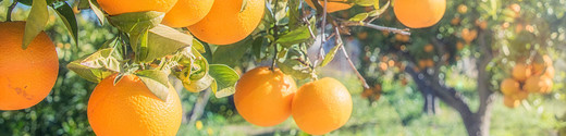 naranjas