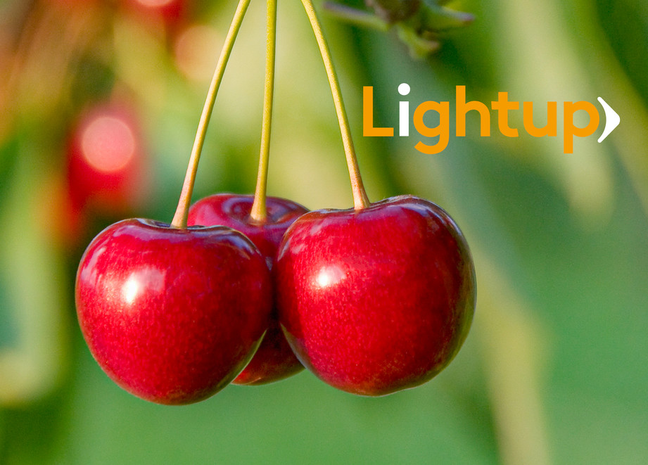 LightUp