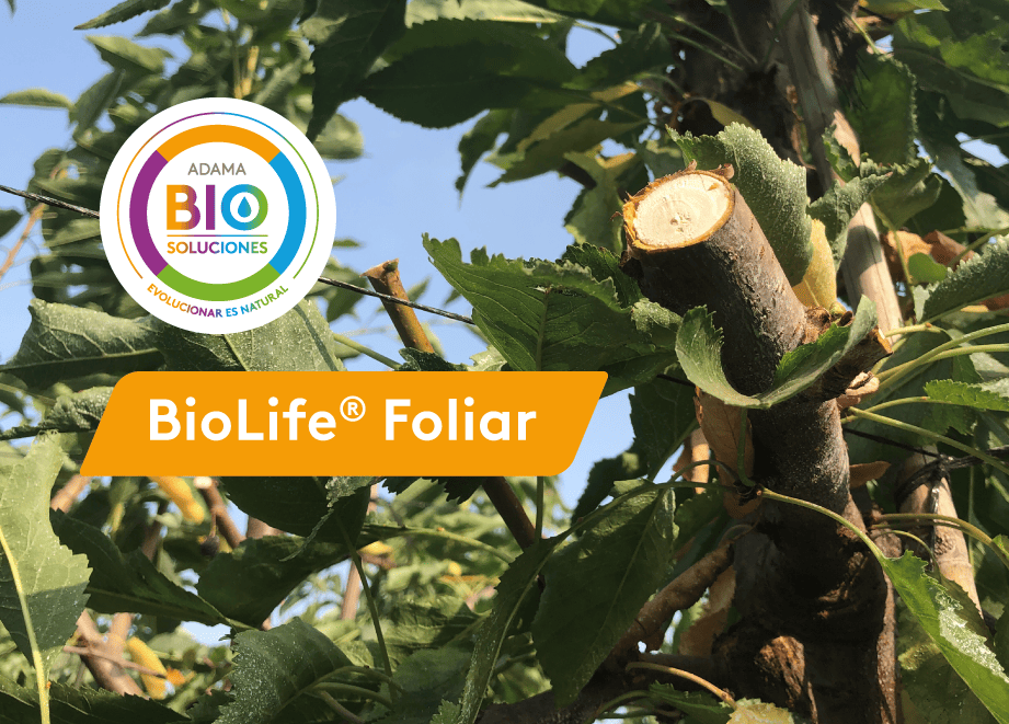 Biolife Foliar