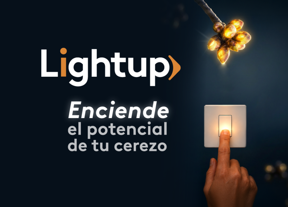 Banner_LightUP.png