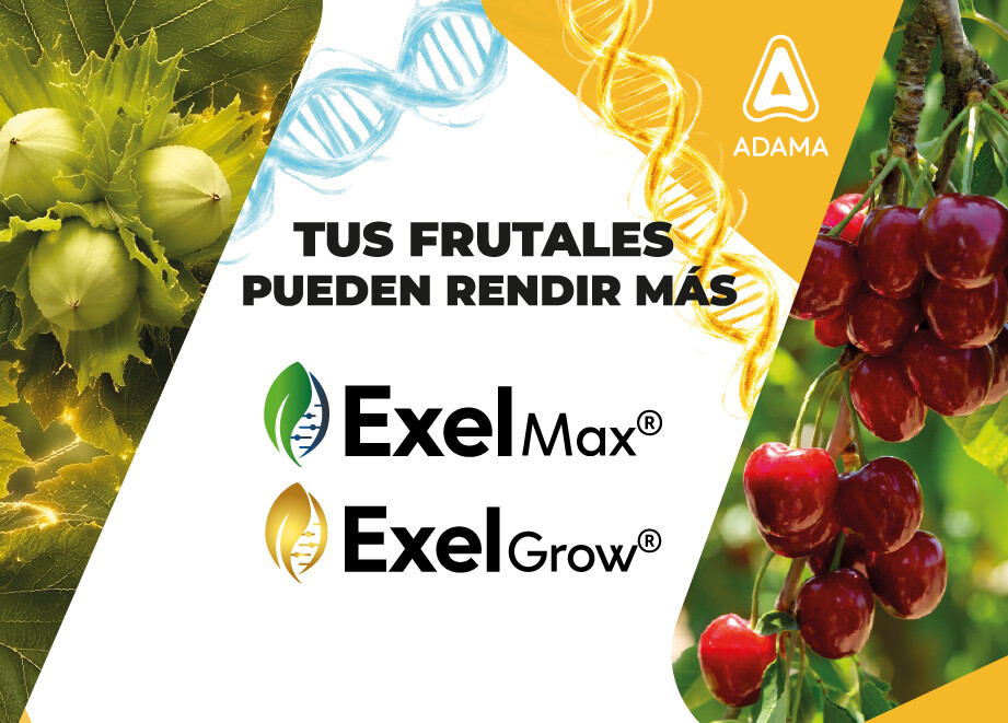 Banner Exel.jpg