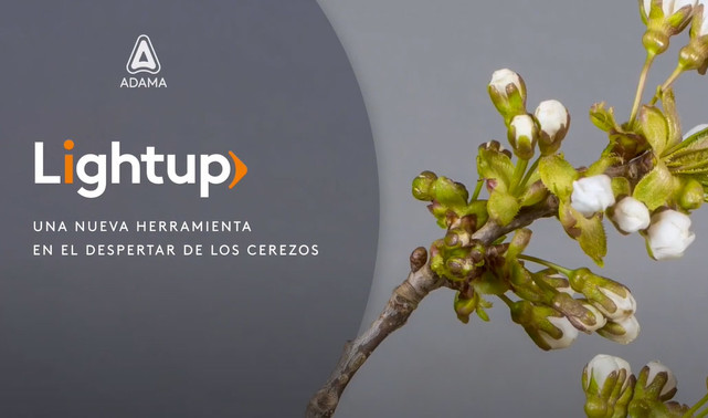 LightUp video