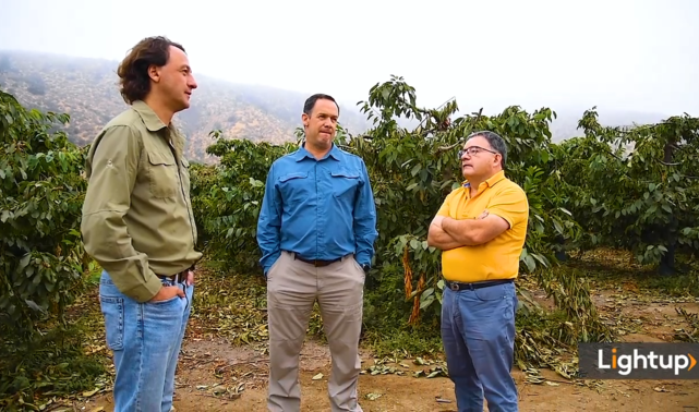 Voces desde el huerto