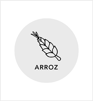 SIC arroz