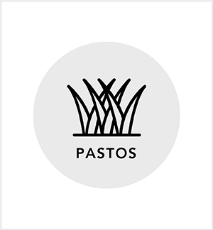 SIC pastos ícono