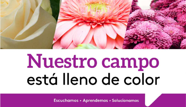 ARTICULO